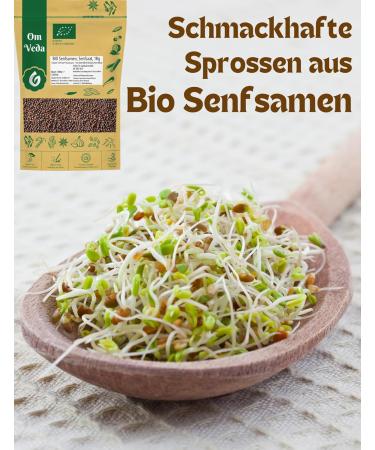 Buy Organic Mustard Seeds 1kg | Premium Quality Mustard Grains for Indian & Asian Cuisine | Brown & Black Mustard Spice - Buy Online on GoSupps.com
