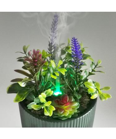 Earnest Living Essential Oil Diffuser - Ceramic Succulent Pot 100ml Night Light Timer & Auto-Off Function for Lavender Aromatherapy - Buy Online on GoSupps.com