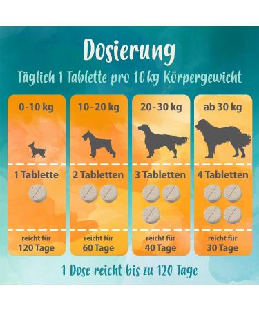 Ida Plus Darmbiotic Probiotics for Dogs - 120 Tablets for Intestinal Health Diarrhea Recovery Immune Support & Digestion Regulation - Buy Online on GoSupps.com