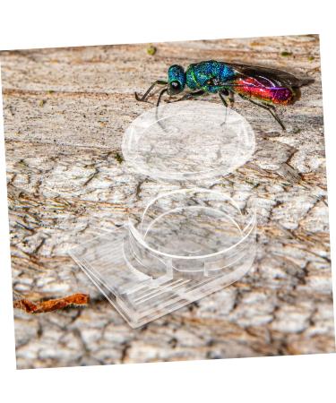 COSMEVIVI Pet Water Feeder Ant Keeping Ants Food Dispenser Ants Feeding Device Ant Water Drinking Cup Ant Nest Water Cup Ant Nest Entrance Feeder Ant Waterer Cup Ant Keeper Tools Ant Bowl - Buy Online on GoSupps.com