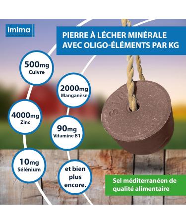 imima EQUIBLOCK Mineral Lickstone Horse Lickstone Set 4 x 3 kg Lickstone for Horses Goats Game and Beef Salt Lickstone Mineral Stone - Buy Online on GoSupps.com
