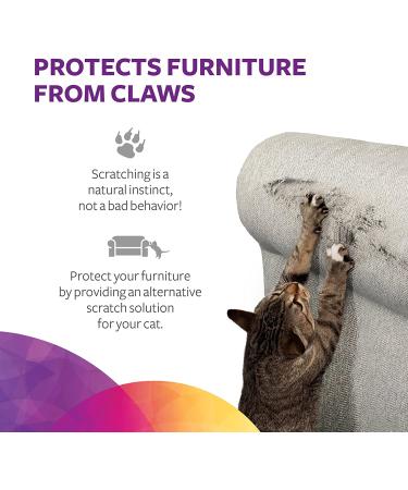 SmartyKat Scratch Up Hanging Corrugated Cat Scratcher | Catnip Infused | Promotes Healthy Nail Growth | Single Pack - Buy Online on GoSupps.com