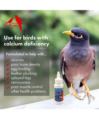 Morning Bird Calcium Plus Supplement 4 Fl Oz - Liquid Formula with Magnesium and Vitamin D3 for Avian Health - Buy Online on GoSupps.com