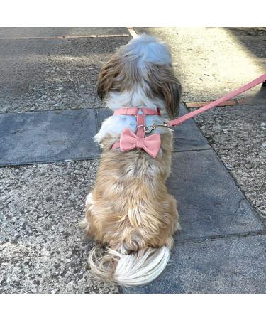 Premium H-Shaped Dog Harness - Velvet & Multi-Position Leash - Small Medium & Large - Stylish Pink (L) - Buy Online on GoSupps.com