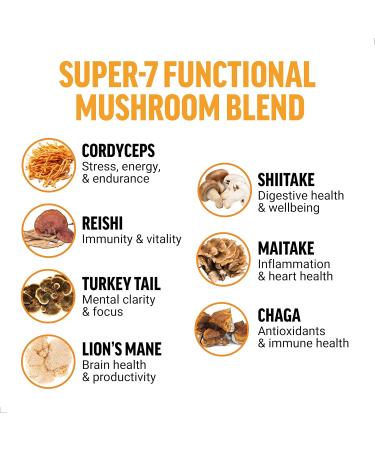 Force Factor Modern Mushrooms Powder, Mushroom Supplement to Support Energy, Focus, Immunity, & Digestion with Cordyceps, Turkey Tail, Chaga, Reishi, Lion s Mane, Shiitake, Unflavored, 30 Servings - Buy Online on GoSupps.com