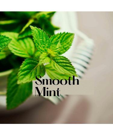 FANMATS 37414 NFL - Las Vegas Raiders SPF 15 Lip Balm 2-pk | Silver | 2.5"x 1" | Raider Shield Primary Logo - Buy Online on GoSupps.com