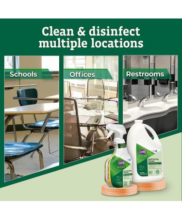 Clorox CloroxPro EcoClean Disinfecting Cleaner Spray 32oz Bottle (Pack of 1) - Buy Online on GoSupps.com