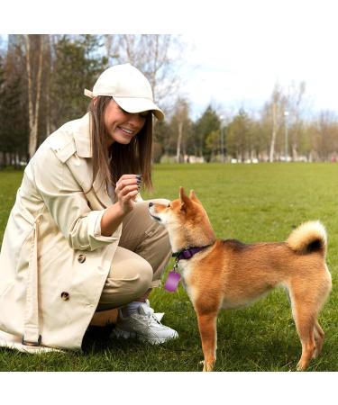 30 Blank Stainless Steel Dog Pendants for DIY Crafts - Rectangle Dog Day Necklace Metal Tags - Buy Online on GoSupps.com