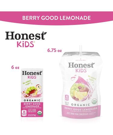 Honest Kids Berry Good Lemonade Organic Juice Drink 6 fl oz Juice Boxes - Pack of 40 - Buy Online on GoSupps.com