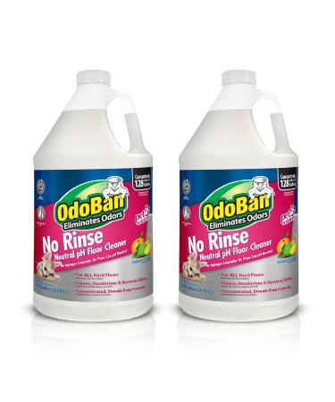 OdoBan No Rinse Neutral pH Floor Cleaner Concentrate, 2 Gal