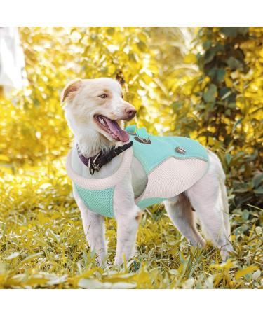 Hjyokuso Dog Cooling Vest - Summer Cooling Jacket for Small Medium & Large Dogs | Perfect for Outdoor Activities & Training | L Blue - Buy Online on GoSupps.com