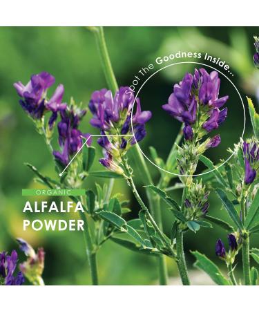 Organic Alfalfa 1200mg Capsules - Certified Organic, Non-GMO, Gluten-Free, Halal - 120 Vegan Capsules - Buy Online on GoSupps.com
