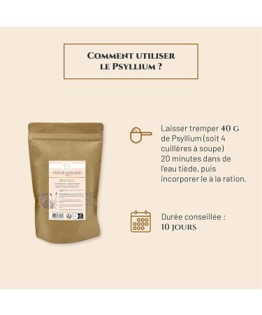 Prince Equin - PSYLLIUM Blond - Nutritional Supplement Horse - Bag 400 g - Fiber intake - Helps regulate intestinal transit - French brand - Buy Online on GoSupps.com