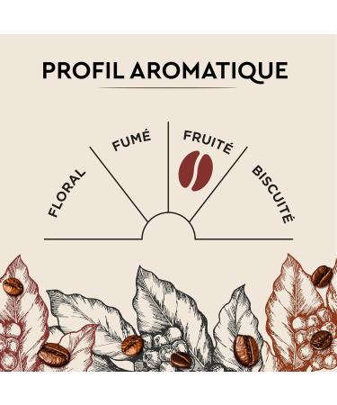 CARTE NOIRE - Coffee Beans - Characterful Cuv e - 500G - Buy Online on GoSupps.com