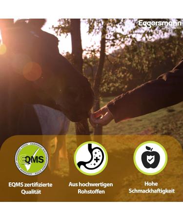 Eggersmann Raspberry Treats for Horses & Ponies - 2.5 kg Bricks | Gourmet Carrot Flavor - International Shipping Available - Buy Online on GoSupps.com