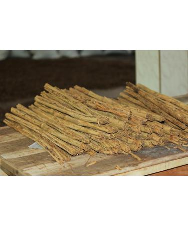 Ceylon Cinnamon Stick Bark Quills - 21 Inch | Cinnamomum Verum from Sri Lanka - Perfect for Sweet and Savoury Dishes - Natural, Vegan, GMO Free - 1 Quill - Buy Online on GoSupps.com
