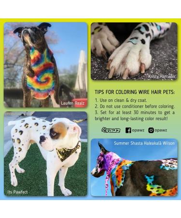 Opawz Permanent Pet Hair Color - Safe Bright Chic Violet Dye for Dogs & Horses | Lasts Over 20 Washes - Buy Online on GoSupps.com