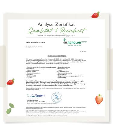 Buy High-Dose Vegan Enzyme Complex - 120 Gastrointestinal Capsules with Bromelain Papain & 19 Active Ingredients - Laboratory Tested - Buy Online on GoSupps.com