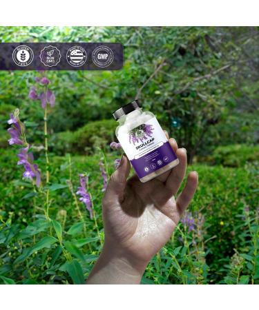 Amazing Botanicals Skullcap 10X Extract Tablets 2,000 mg - High Potency Herbal Supplement for Relaxation and Wellness - 30 Tablets - Buy Online on GoSupps.com