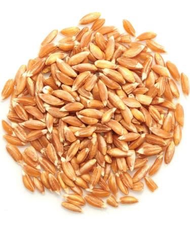 Yupik Organic Farro 1Kg 1 kg (Pack of 1) - Buy Online on GoSupps.com