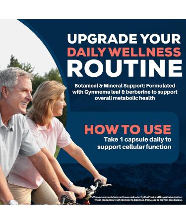 Ayush Herbs BioGymnema - Metabolic Vitamin & Herb Blend Metabolic Health Supplement for Women & Men with Biotin Berberine Bitter Melon & Gymnema Nutrient Support - 90 Vegetarian Capsules (1 Count) - Buy Online on GoSupps.com