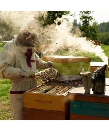 Earthbreath Buckwheat Raw Honey - 900g - Pure Dark Unheated Unpasteurised - Natural Sweetener for Cooking and Drinks - Buy Online on GoSupps.com