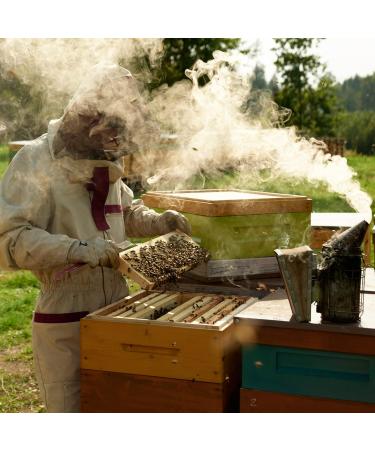 Earthbreath Raw Honey & Sea Buckthorn - 250g - Unpasteurized - Alternative to Pure Natural Jam - No Additives No Sugar - Buy Online on GoSupps.com