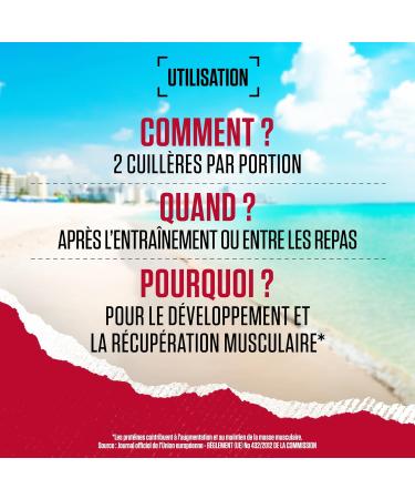 BSN True Mass 1200 Protein Powder Mass Gain with Whey and Carbohydrate Isolate Weight & Muscle Gain & Post Workout Recovery Chocolate Milkshake Taste 15 Servings 4.8 kg - Buy Online on GoSupps.com