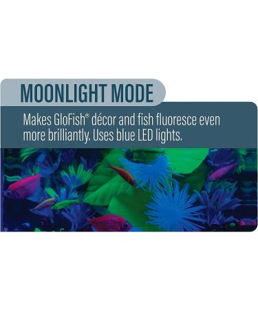 GloFish 4-mode Cycle Light for 20 Gallon Interactive Aquariums - Buy Online on GoSupps.com