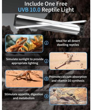 LUCKY HERP T5 Reptile Light Fixture Combo Kit 24W - 30% UVA + 10% UVB - 100-250V - Ideal for Amphibians, Tortoises, Lizards, and Bearded Dragons - Buy Online on GoSupps.com