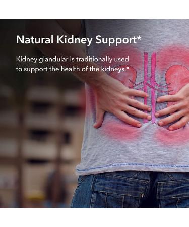 Allergy Research Group Kidney Beef Glandular - 100 Natural Vegicaps - Buy Online on GoSupps.com