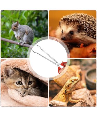 Reptile Feeding Tongs - 15 Inches Anti-Skid Feeding Tongs Steel Reptile Feeding Tong Tools for Hold Worm Anti-Skid Feeding Tongs Curved Mouth - Buy Online on GoSupps.com