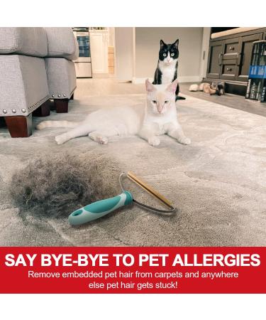 Pet Hair Remover Tool - Dog & Cat Hair Cleaner Lint Roller & Fur Removal Brush for Carpets Furniture & More - Portable & Effective - Green - Buy Online on GoSupps.com