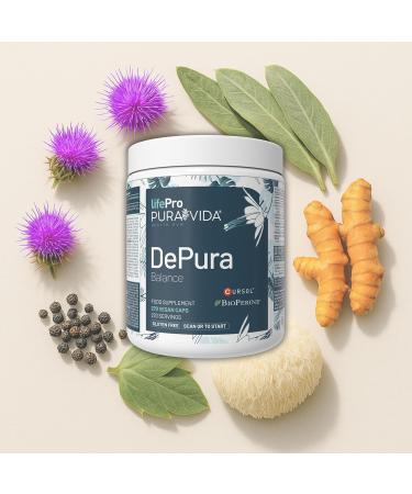 Chardon Marie Bio 5x Plus de Silymarine Active (213 mg 80% Standardis e) quivalent 14.000 mg/gelule Formule 5-en-1 avec Artichaut Curcuma Cursol Crini re de Lion BioPerine 270 G lules - Buy Online on GoSupps.com