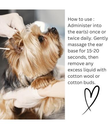 Natures Greatest Secret Antibacterial Ear Drops for Dogs 30ml - Soothes, Cleans & Protects with Colloidal Silver & Essential Oils - Buy Online on GoSupps.com