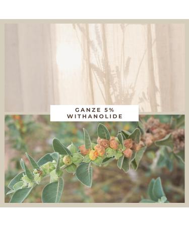 Ashwagandha Root Extract 600 mg KSM-66 - 240 Vegan Capsules | Supports Sleep & Stress Relief | Lab Tested in Germany - Buy Online on GoSupps.com