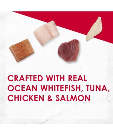 Fancy Feast Wet Cat Food Variety Pack (42 Cans) | Shrimp Trio + Collection Assortment - Buy Online on GoSupps.com