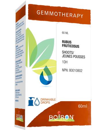 Gemmotherapy rubus fruticosus shoots (blackberry vine) 1dh 60ml homeopathic medicine 60 milliliter by Boiron Canada