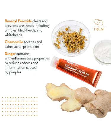AcneFree Terminator 10 Spot Treatment - Maximum Strength Benzoyl Peroxide Acne Cream (2 Pack 1 oz) - Effective Acne Control - Buy Online on GoSupps.com