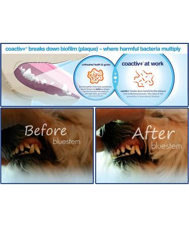 Pet Water Additive Oral Care: for Dogs & Cats Bad Breath  Dental Rinse Freshener Treats Plaque & Teeth Tartar. Dog & Cat Mouth Clean Health Treatment for Pets Drinking Bowl Chicken - Buy Online on GoSupps.com