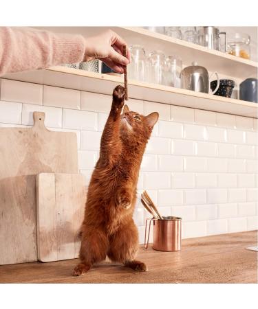 Buy Gimcat Sticks Lamb & Poultry - High Meat Content No Added Sugar - 10 Soft Treats Multipack for Cats - International Shipping Available - Buy Online on GoSupps.com