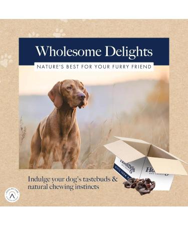 Hollings Pig Snouts Dog Treats 100% Natural Air Dried Crunchy Chews for Adult Dogs Grain Free & High in Protein (2kg Loose) 200 g (Pack of 1) - Buy Online on GoSupps.com
