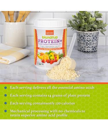 Buy Blenditup Organic Protein + Smoothie Mix - 100% Vegan Gluten-Free Soy Plant Protein (24oz) for International Shipping - Buy Online on GoSupps.com