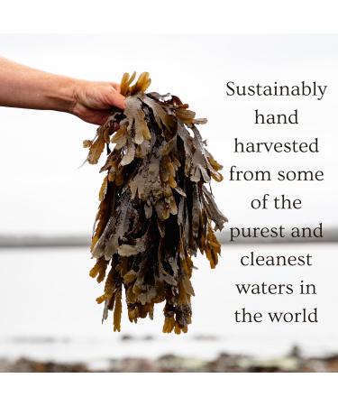 Ishga Marine Cleansing Balm - Natural Organic Skincare with Scottish Seaweed & Bergamot | Vegan Cruelty-Free | 3.38fl oz (100ml - Buy Online on GoSupps.com