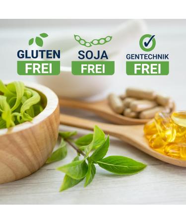 Life Extension Multivitamin Mix - 360 Capsules Gluten Free Soy Free Non-GMO Laboratory Tested for Optimal Health - Buy Online on GoSupps.com