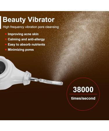Elitzia Beauty Device With Facial Skin Scrubber Tool Blackhead Remover Pore Cleaner Comedones Extractor for Facial Deep Cleansing ETSC433 (Black) - Buy Online on GoSupps.com