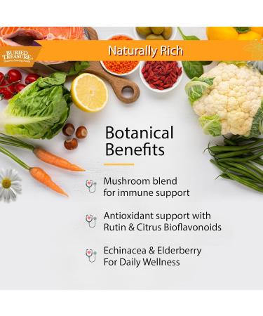 Buried Treasure Adult Daily Immune Wellness, 16oz with Dose Cup, Elderberry Echinacea VIT-C Zinc, Mushroom Blend, Natural Immune Booster - Buy Online on GoSupps.com
