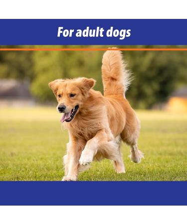 Exmarid Dry Skin Formula Supplement for Dogs with Starflower Oil - Moisture for Dry and Itchy Skin Relief Promotes Healthy Skin (150ml) - Buy Online on GoSupps.com