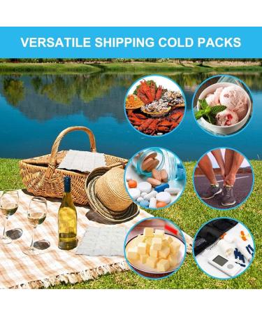 Gel Ice Packs Reusable | Lunch Box Ice Packs Dry Ice for Shipping Food Lunch Box Ice Packs Reusable Long-Lasting Freezer Packs for Camping Beach Fishing School Pochy - Buy Online on GoSupps.com