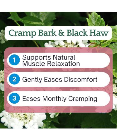 Herb Lore Cramp Bark & Black Haw Tincture Alcohol Free Liquid Herbal Menstrual Cramp Supplement Drops for Period Cramps Muscle Tension & Uterine Support (2 fl oz) - Buy Online on GoSupps.com